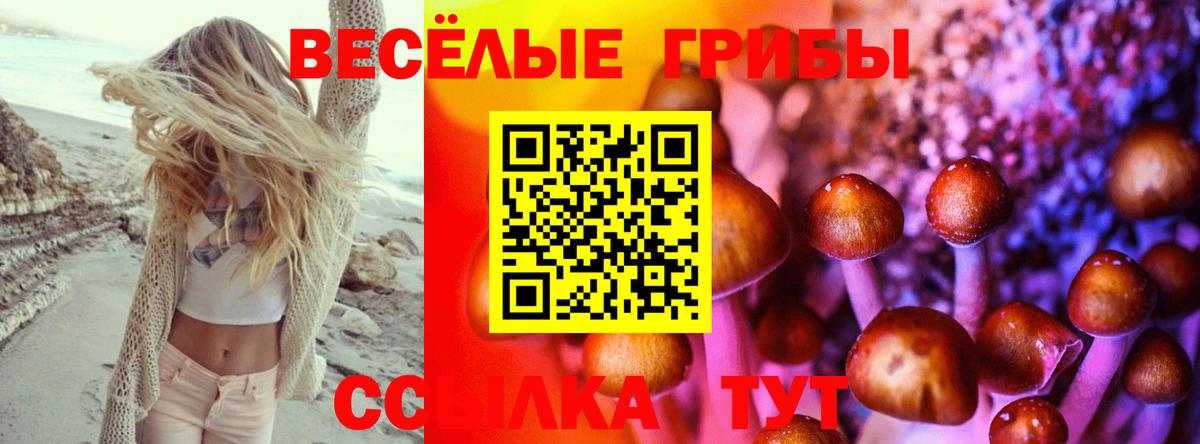 Псилоцибиновые грибы прущие грибы  Вход с VPN  Сарапул  Псилоцибиновые грибы Psilocybine cubensis 